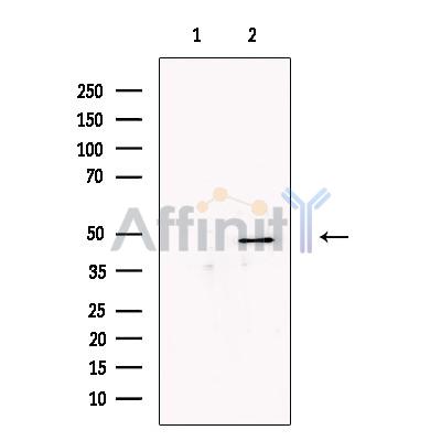Валидация Affinity DF13571 - 9032