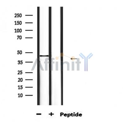 Валидация Affinity DF6502 - 17905