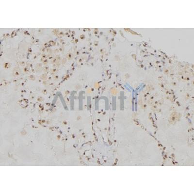 Валидация Affinity DF6286 - 17596