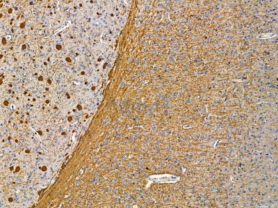 Валидация Affinity DF14426 - 10375