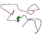 Potassium Intermediate Small Conductance Calcium Activated Channel Subfamily N, Member 3 (KCNN3)