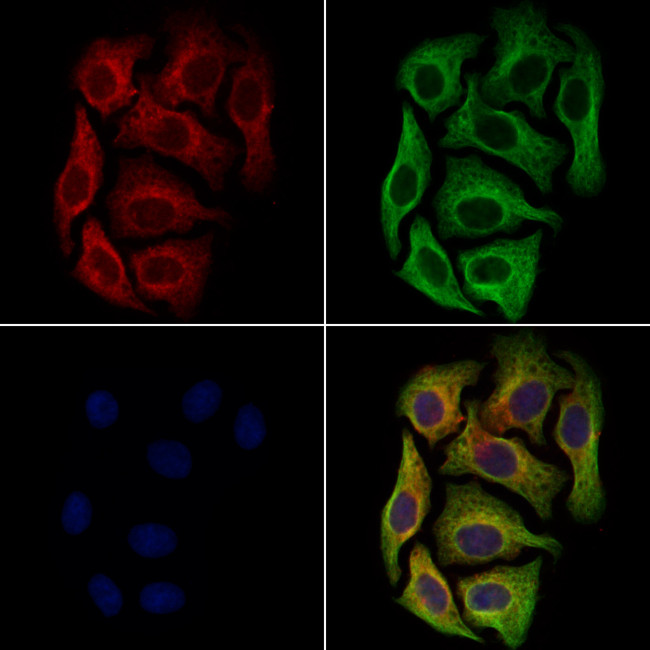 Валидация AssayVector ARM2232(3754)