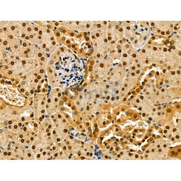 Валидация Affinity DF7706 - 19491