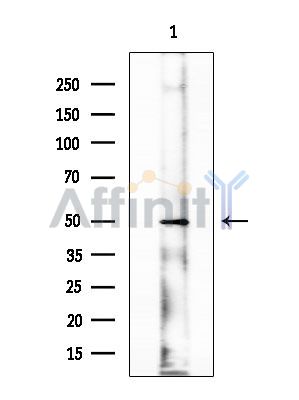 Валидация Affinity DF13960 - 9710