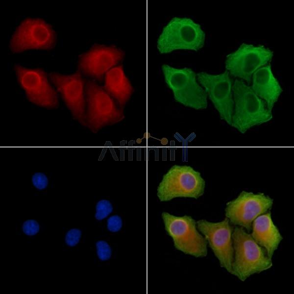 Валидация Affinity DF8249 - 20090