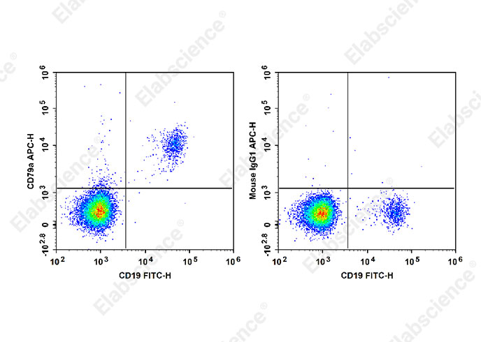 Валидация Elabscience E-AB-F1370E