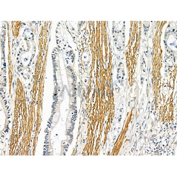 Валидация Affinity AF5256 - 2763