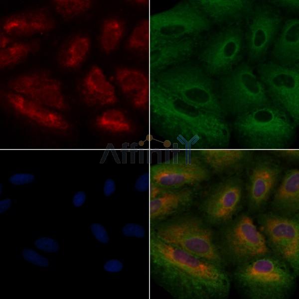 Валидация Affinity DF8579 - 20485