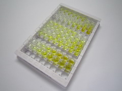 7513