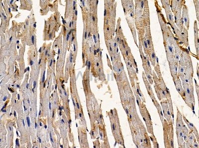 Валидация Affinity DF10166 - 5700