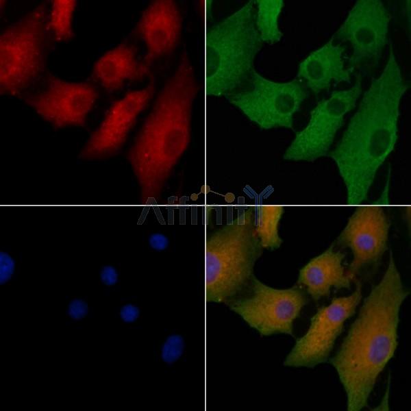 Валидация Affinity DF8449 - 20329