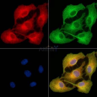 Валидация Affinity DF13853 - 9564