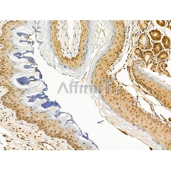 Валидация Affinity AF5371 - 2991