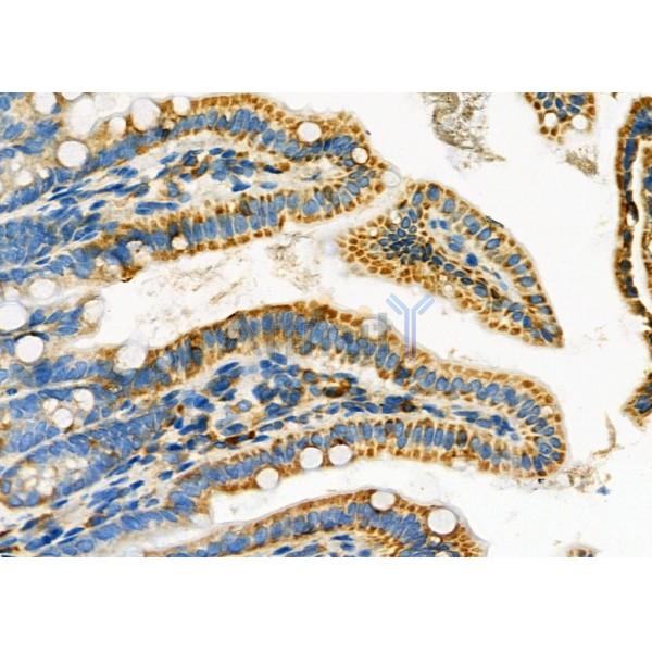 Валидация Affinity DF9609 - 22319