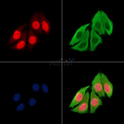 Валидация Affinity DF14013 - 9776