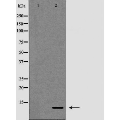 Валидация Affinity DF7277 - 18944