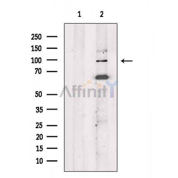 Валидация Affinity DF6829 - 18398