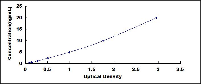 35416