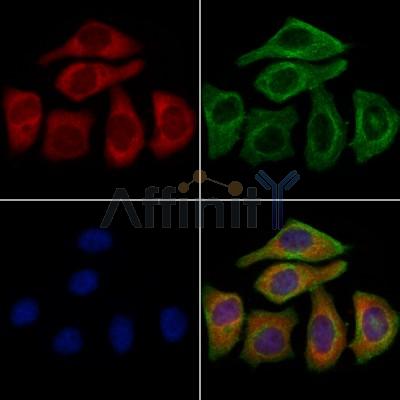 Валидация Affinity DF2237 - 12778