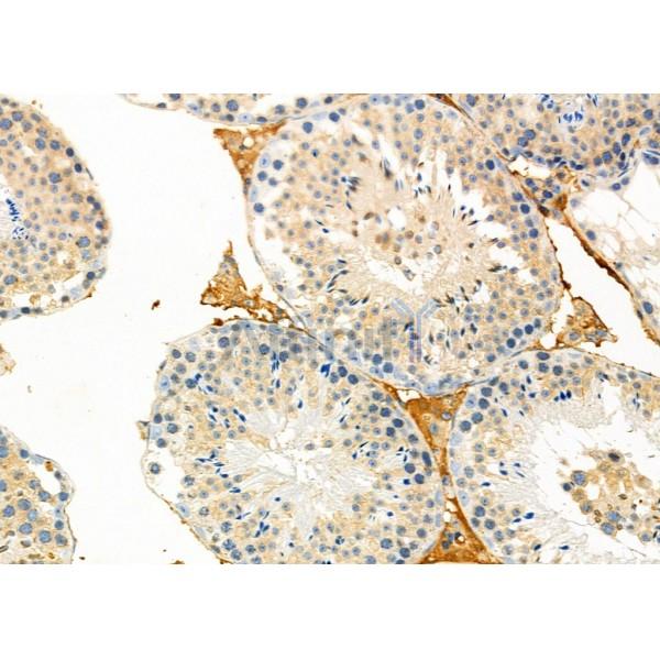 Валидация Affinity DF12389 - 6866