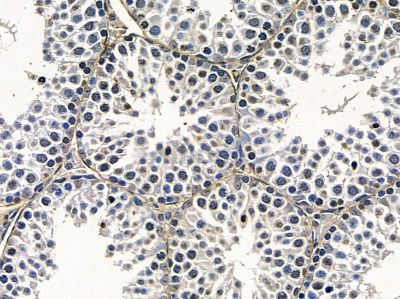 Валидация Affinity DF14253 - 10105