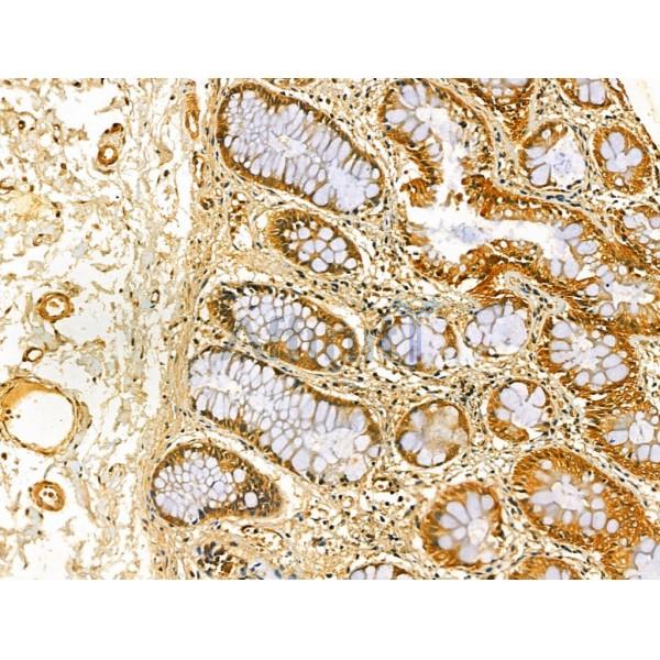 Валидация Affinity DF12241 - 6549