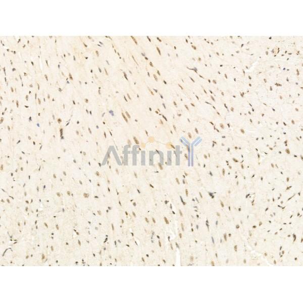 Валидация Affinity DF13709 - 9325