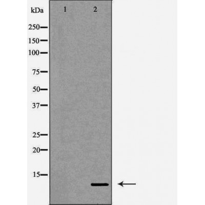 Валидация Affinity DF7307 - 18992