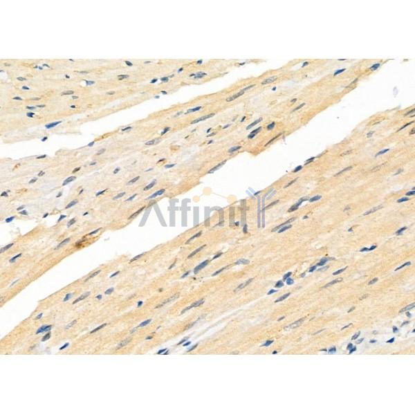 Валидация Affinity DF9778 - 22619