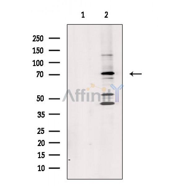Валидация Affinity DF2483 - 13127