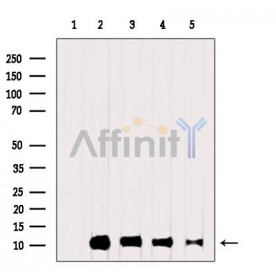 Валидация Affinity DF6761 - 18322