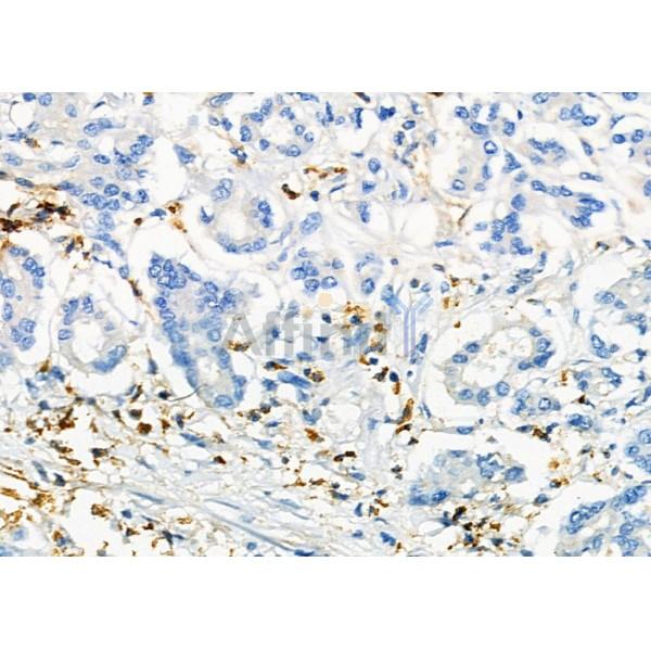 Валидация Affinity DF6631 - 18099