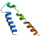 Gamma-Aminobutyric Acid A Receptor Delta (gABRd) Gamma-Aminobutyric Acid A Receptor Delta (gABRd)