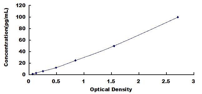 51552