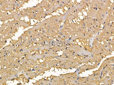 Валидация Affinity DF4816 - 16568