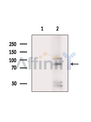 Валидация Affinity DF15889 - 12401