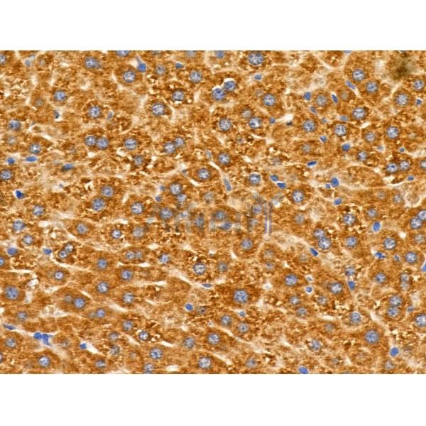 Валидация Affinity DF3758 - 14843