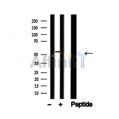 Валидация Affinity AF4708 - 2325
