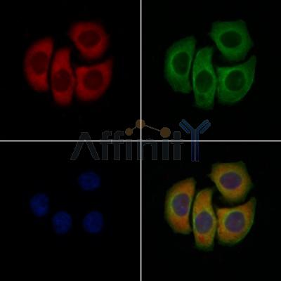 Валидация Affinity AF7802 - 4521