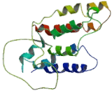 Chemokine C-X-C-Motif Receptor 5 (CXCR5) Chemokine C-X-C-Motif Receptor 5 (CXCR5)