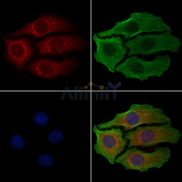 Валидация Affinity DF4087 - 15366