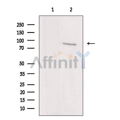 Валидация Affinity DF6047 - 17263