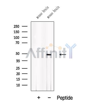 Валидация Affinity DF12554 - 7159