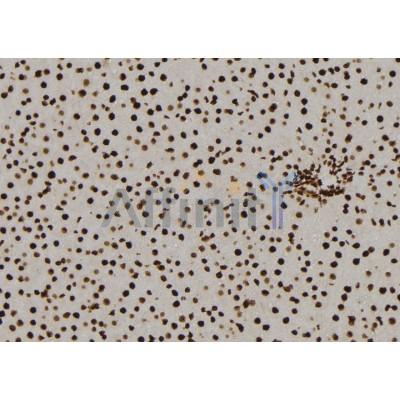 Валидация Affinity DF7342 - 19050