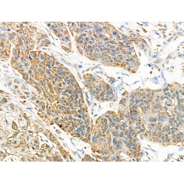 Валидация Affinity AF4360 - 2197