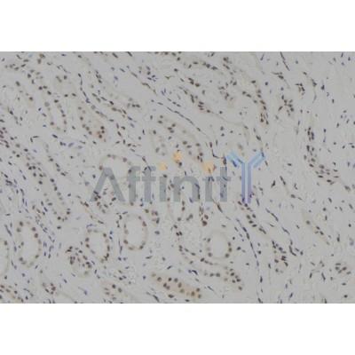 Валидация Affinity DF8452 - 20334