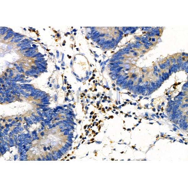 Валидация Affinity DF3078 - 13817