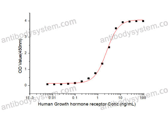 Валидация активности AntibodySystem AHC84301
