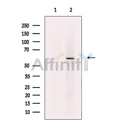 Валидация Affinity DF13370 - 8604