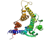 Adenosine A2a Receptor (ADORA2a) Adenosine A2a Receptor (ADORA2a)